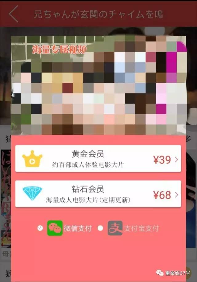 最新毛片基地免费，探索学习变化，发掘自信与成就感的源泉