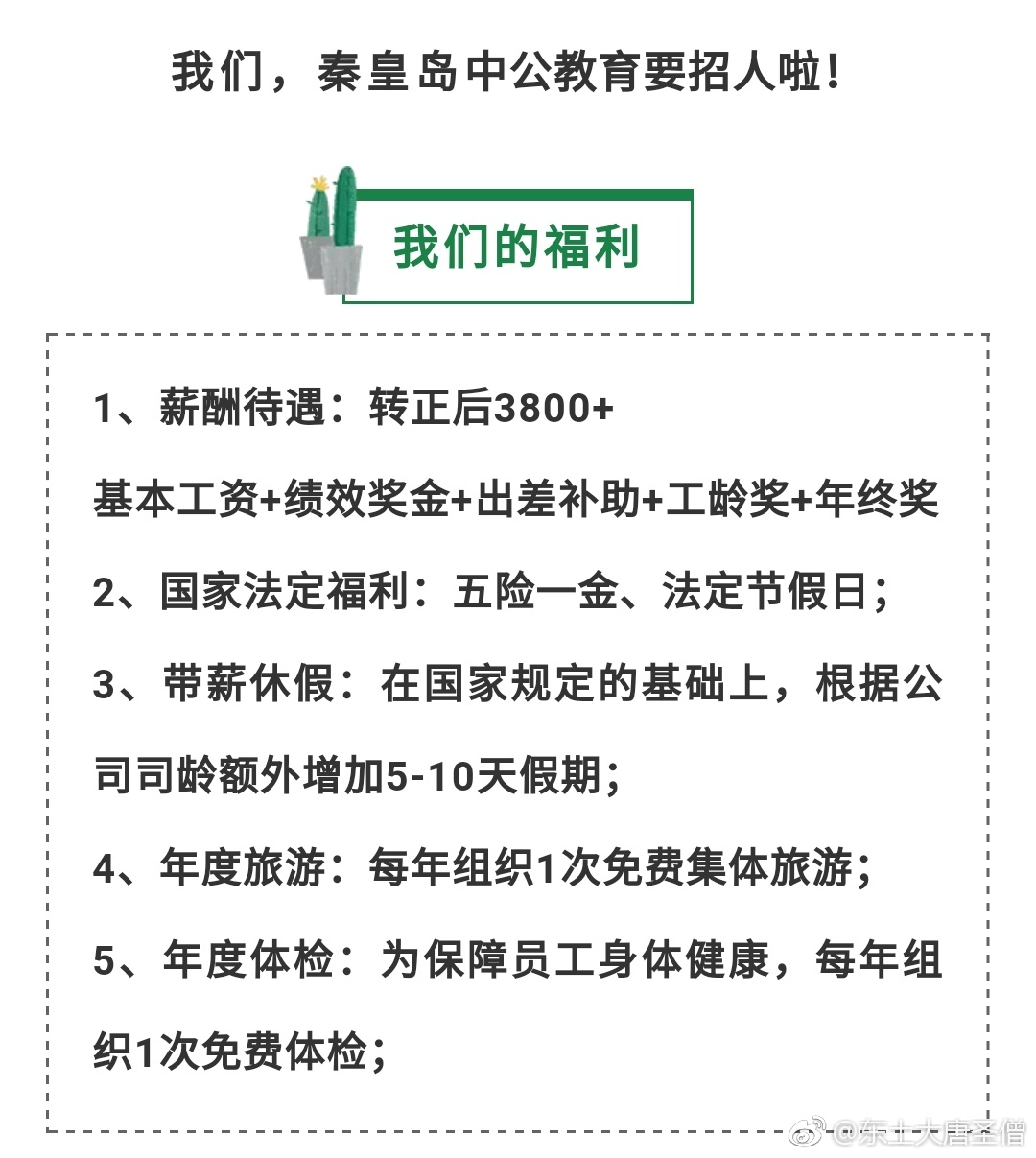 秦皇岛招聘网最新招聘信息，职场与友情的温暖交汇